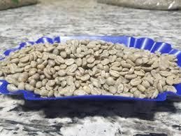 Robusta Coffee Beans Organic Yes Decaffeinated No Bean Type Robusta Degree of Processing Raw Max. Moisture (%) 10-12% - Sunny Edge Commodities Group - Kenya