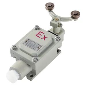 Explosion Proof Travel Switch / General Electric Limit Switch / Explosion-Proof Limit Switches Blx50110 - Shenhai Explosion Proof Technology Co., Ltd. - China