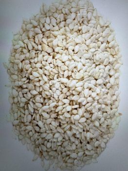 white sesame seed - akin-timex integrated services limited - Nigeria