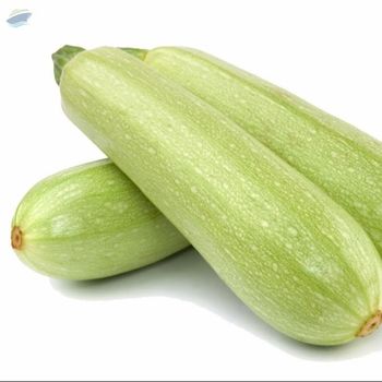 Fresh Zucchini -  Link Flow Canada Inc.  - Canada