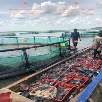 HDPE Floating Fish Farming Aquaculture Cage - QINGDAO EVERGROWING IMPORT&EXPORT CO., LTD. - China