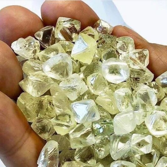 White Rough Diamonds 1-5 Carat HPHT Lab Grown Diamond Rough Diamonds - Almaa SCS - Belgium
