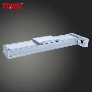 High Quality Stroke 300mm Ball Screw High Precision Linear Guide Rail - Hunan Tianyou Precision Technology Co., Ltd. - China