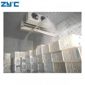 Fresh Citrus Lemon Fruit Cranberry Supplement Humidifier Walk in Cooler Requirements for Cold Storage - Quanzhou Zhiyun Refrigeration Equipment Co., Ltd. - China