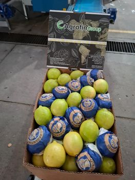FRESH ARGENTINA / URUGUAY / PERU  CITRUS - EIGHTY FIVE LLC - United Arab Emirates
