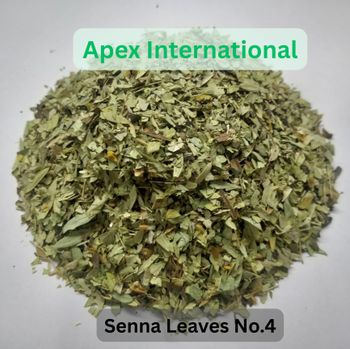 senna leaves number 4 ,Cassia Angustifolia Leaves, Cassia Angustifolia Leaf, senna leaves bulk supplier from india - APEX INTERNATIONAL - India