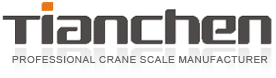 Product - Hangzhou Tianchen Scale Equipment Co., Ltd. - China