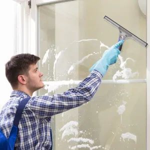 All Purpose T Bar Holder Grip Squeegee Scrubber Professional Performance Window Glass Washer Clean 10" - Shanghai Premier Homewares Co., Ltd. - China