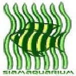 Product - AQUATIC PLANT CENTRE THAILAND CO LTD - Global