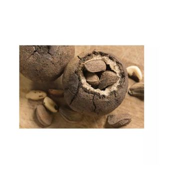 Bulk supply Brazilian nuts wholesale cheap price nutritious quality - AMAC GOLD AND DIAMOND METALS SUPPLIER - Germany