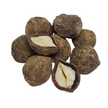 Premium Whole Candlenut (Kukui Nut) - Grade A (98% Whole) - Natural White - Origin Indonesia - PT. Nusantara Synergia International - Indonesia