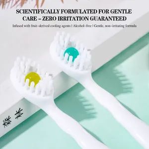Mint & Peach Flavored Beaded Toothbrushes Disposable Mini Portable Travel Toothbrush - Shandong Syaao Biotechnology Co., Ltd - China