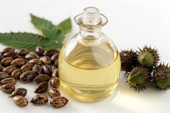 Castor Oil from California Chemical Castor Oil - California Chemical - United States