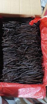 Vanilla Bean Grade C - cv hanjaya teknologi indonesia - Indonesia