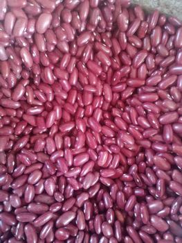 Red Speckled Kidney Beans - jtenkgroup - Tanzania