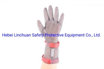 Stainless Steel Long Glove with Textile Strap/Stainless Steel Cut Resistant Glove/Steel Chainmail Butcher Glove/Metal Mesh Glove/Butcher Work Safety Glove - Hebei Linchuan Safety Protective Equipment Co., Ltd. - China