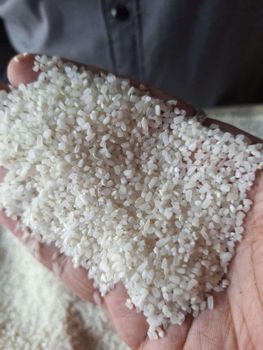 Rice Broken White Origin India Features GMO-Free Packaging Size 50 Kg, > 25 kg Variety Short-Grain Rice, White Rice Broken Raw - Shri Radhe Radhe Trading Co (Brijone Wale) - India