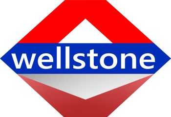 Product - Taizhou Wellstone Lifting & Lashing Co., Ltd. - China