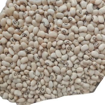 Brown Eye Bean Natural Dry Light Beans Good Product Bulk White Brown Kidney Bean for food Brazil Origin Chawali Highest quality - UNIPHOS INTERNATIONAL LIMITED - India