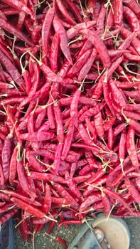 Dry Red Chilli 334 - Vunnam Agro Exports - India