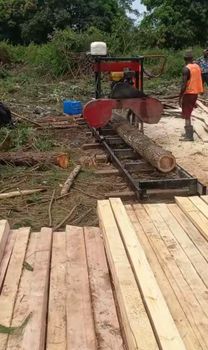 Timber - Nabongo timber - Kenya