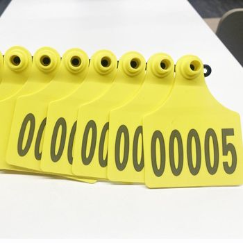 Large TPU Visual Ear Tag for Cattle | Custom Printed Cow Ear Tags With Metal Pin Head - Shenzhen Suan Intelligent (Eartaghome) Technology Co.,Ltd - China