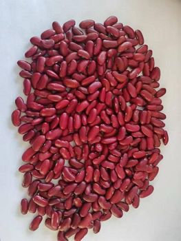 RED KIDNEY BEANS Fat 1-2g Fiber 6-8g Texture Firm Protein 21-25g Purity 99% Minimum Energy 330-350 Kcal Carbohydrates 60-65g - ABS Commercial  - South Africa