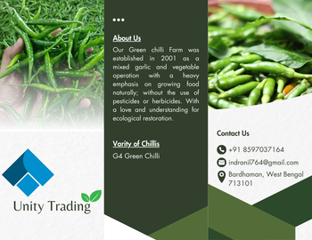Green Chilli Grade A Type G4 Size Long Brand Name Unity Trading Place of Origin Maharastra Packaging Details 10kg - Unity Trading - India