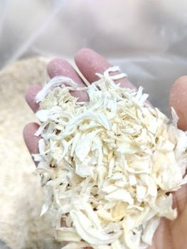 Dehydrated onion chopped/minced/kibble from AGRISPHERE EXPORT Dehydrated onion chopped/minced/kibble - AGRISPHERE EXPORT - India