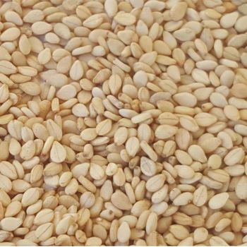 Best Price Raw Sesame Seed In Bulk Orders With Quality Sorting And Moisture Control Sesame Seed For Food Industry from AGRO AFRIQUE COMPANY LIMITED Best Price Raw Sesame Seed In Bulk Orders With Quality Sorting And Moisture Control Sesame Seed For Food Industry - AGRO AFRIQUE COMPANY LIMITED - Tanzania