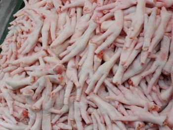 Frozen Chicken Parts - MEME GROUP COMPANY LTD - Cameroon