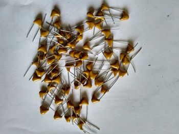 Capacitor, For Power Capacitance all Range Usage/Application Power Capacitor Type Ceramic Capacitor Material Type Multi Layer, Disc, Ceramic, - Technical Studio - India