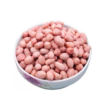 Peanuts bulk supply wholesale cheap price premium quality - MASI TRADING GMBH - Germany