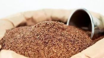 seeds flax brown oiled Packaging BigBag Shelf Life 1 year Max. Moisture (%) 7% - ФОП Лісовська - Ukraine