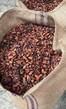 Cocoa Bean - AT Global - Russian Federation