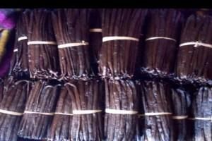 Vanilla Bean from YUWATA FREIGHT TANZANIA LIMITED Vanilla Bean - YUWATA FREIGHT TANZANIA LIMITED - Tanzania