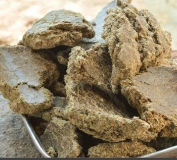 Cotton Seeds Oil Cake for Animal feeding Shape block Plant Cotton Seed Packaging 50kg bag Type Cotton Seed Oil Cake -  JAC SEEDS & OIL TRADING (PTY) LTD - South Africa