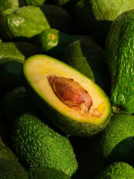 Hass Avocado Fruit Type Other - AvoFarm - Kenya