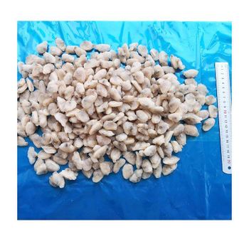 Low price frozen clam meat for bulk sale frozen bioled clam meat detail clam meat exporter - Zhoushan Yunyi Trading Limited - China