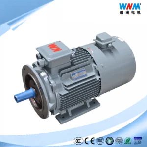 Yvf2 Frequency Variable 5~100Hz Multi Speed AC Electric Induction Three Phase Motor Controller for Fans Blowers Blenders Pumps Curshers Yvf2-160m1-2 11kw - Anhui Wannan Electric Machine Co., Ltd. - China