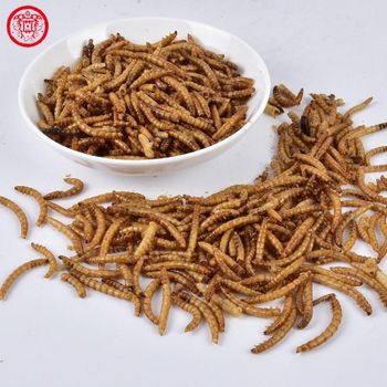 Yellow Mealworm Dry Larve Insect Meal for Birds Poultry - Qingdao Sino Crown Biological - China