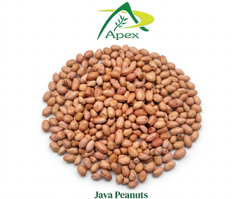 Java Peanut 4050, Java Peanut 40 50, Java Peanut 40/50, Peanut, Peanuts, Arachis hypogaea, Java Peanut, Java Peanut Kernels, Blanched Peanut, Indian Java Peanut, Indian Blanched Peanut, Peanuts Java Kernels, Peanuts Kernels, Peanut With Shell, Peanuts, Indian Peanuts, Java Peanuts,Java Peanut Supplier From India. from APEX INTERNATIONAL Java Peanut 4050, Java Peanut 40 50, Java Peanut 40/50, Peanut, Peanuts, Arachis hypogaea, Java Peanut, Java Peanut Kernels, Blanched Peanut, Indian Java Peanut, Indian Blanched Peanut, Peanuts Java Kernels, Peanuts Kernels, Peanut With Shell, Peanuts, Indian Peanuts, Java Peanuts,Java Peanut Supplier From India. - APEX INTERNATIONAL - India