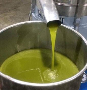 Olive oil coffe beans - Lila shpk - Albania