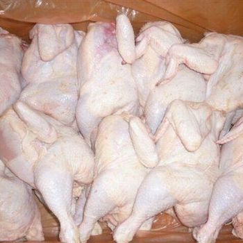 Brazilian Exporters Of Quality Halal Certified IQF Cleaned Frozen Chicken Feet, Paws, Breast, Wings, Drumsti - TRADING BROS LLC - United States