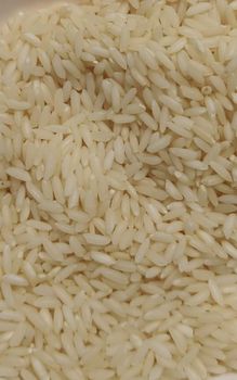 Sona Massori Rice- Indian Origin India Product Type Rice Starch Content Low Moisture Content ≤ 12%% Admixture Level Minimal - MOGSHA GLOBAL PRIVATE LIMITED - India