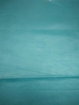 Turquoise Nappa Leather Sheet Design Plain Tannage Chrome Usage Garments Color Turquoise Thickness 3 Mm, 3 mm Finishing Semi - Anchor Leather Finishers - India