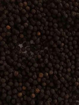 Black pepper - Spicex - India