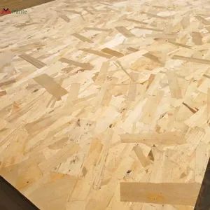 Cheap 18mm OSB Oriented Strand Board OSB Formwork for Construction for Construction - Linyi Mirante Wood Co., Ltd. - China