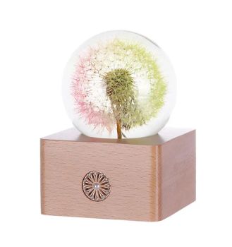 Christmas Birthday Gift Dandelion LED Crystal Ball Epoxy Resin Bedroom Ornaments - Zhejiang Haipai Art Home Co., Ltd. - China