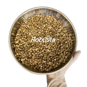 Robusta Coffee Beans Export Standard Feature Neutral Taste Bag Coffee Robusta - Raw Coffee Beans / Made in Viet Nam - DAI HUNG PHAT EXCHANGE TRANSPORT AND TRADING JOINT STOCK COMPANY - Vietnam
